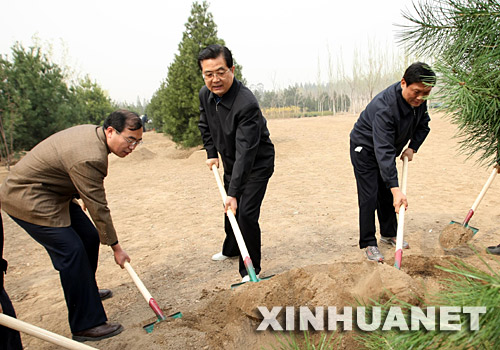  4��5�գ����͹����쵼�˺����Ρ��������¼ұ��������֡������ϰ��ƽ�����ǿ���ع�ǿ��������������������ƥ��ɭ�ֹ�԰�μ��׶�����ֲ��������Ǻ�����ͬ���һ��ֲ���� ��